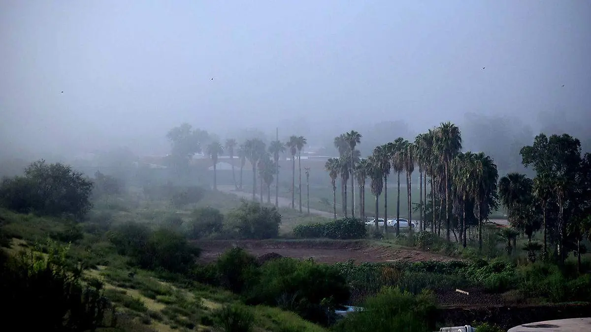 Neblina hermosillo-Cvillalba (1)